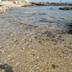 Sonstige